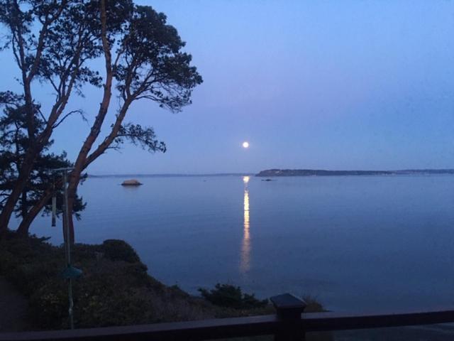 Puget Sound Chic Romantic Cottage With Private Beach Access & Gated Entry Port Ludlow ภายนอก รูปภาพ