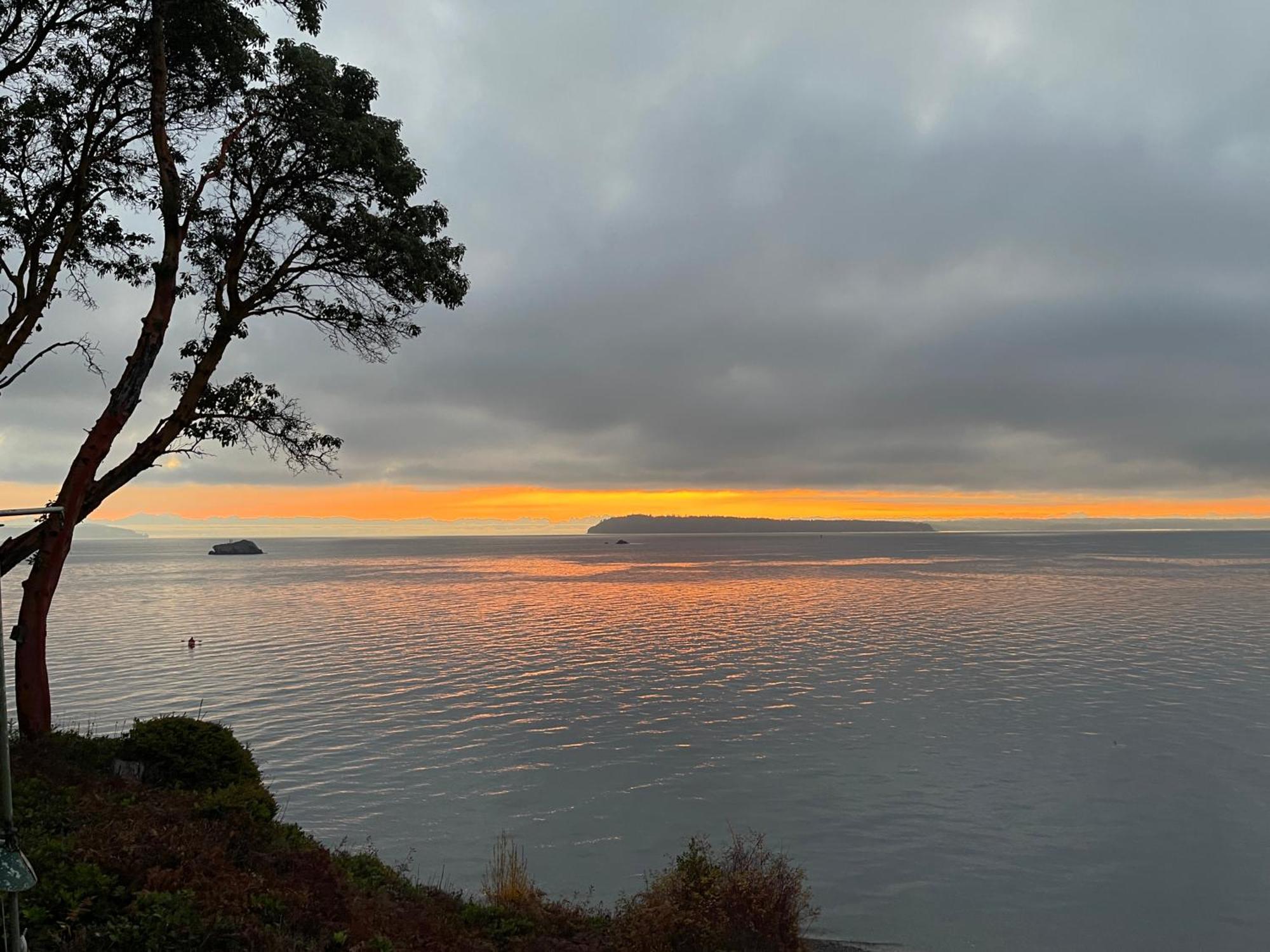 Puget Sound Chic Romantic Cottage With Private Beach Access & Gated Entry Port Ludlow ภายนอก รูปภาพ